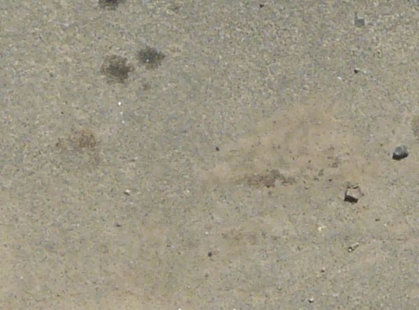 Road edge texture, with a concrete surface covered in fine dust in between a cracked dark road and an area of weeds and dirt.